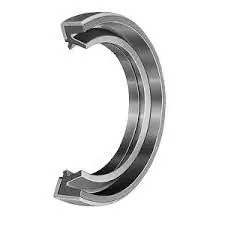 Profesionální DS 25324 (G 25x32x4 GP)